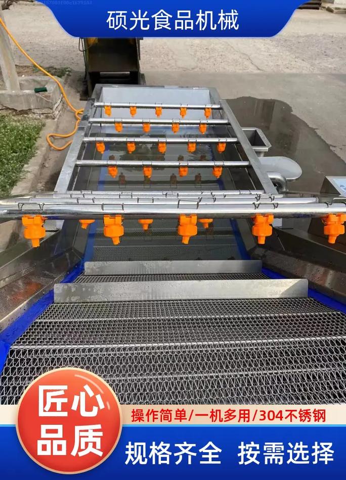 大连气泡式蔬菜清洗机工厂,推荐硕光食品机械,支持定制, 种类